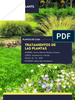 Tratamientos de Las Plantas