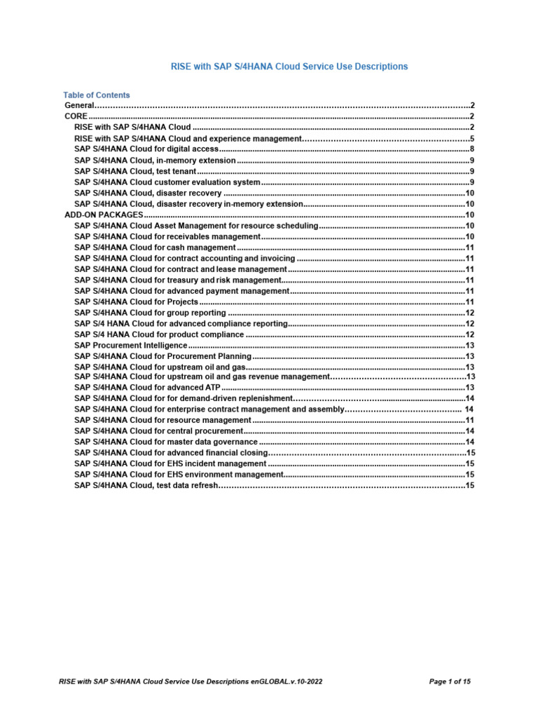 RISE with SAP S/4HANA Cloud Overview | PDF | Cloud Computing | Economies