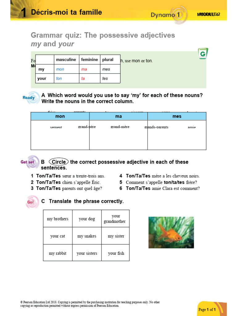 Dynamo 1 module 4 worksheets pdf noun grammatical gender