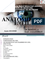 Anatomie de L Oeil