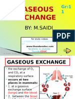 Gas Exhange Grade 11 Life Sciences