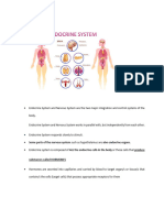 Endocrine System (Finals)