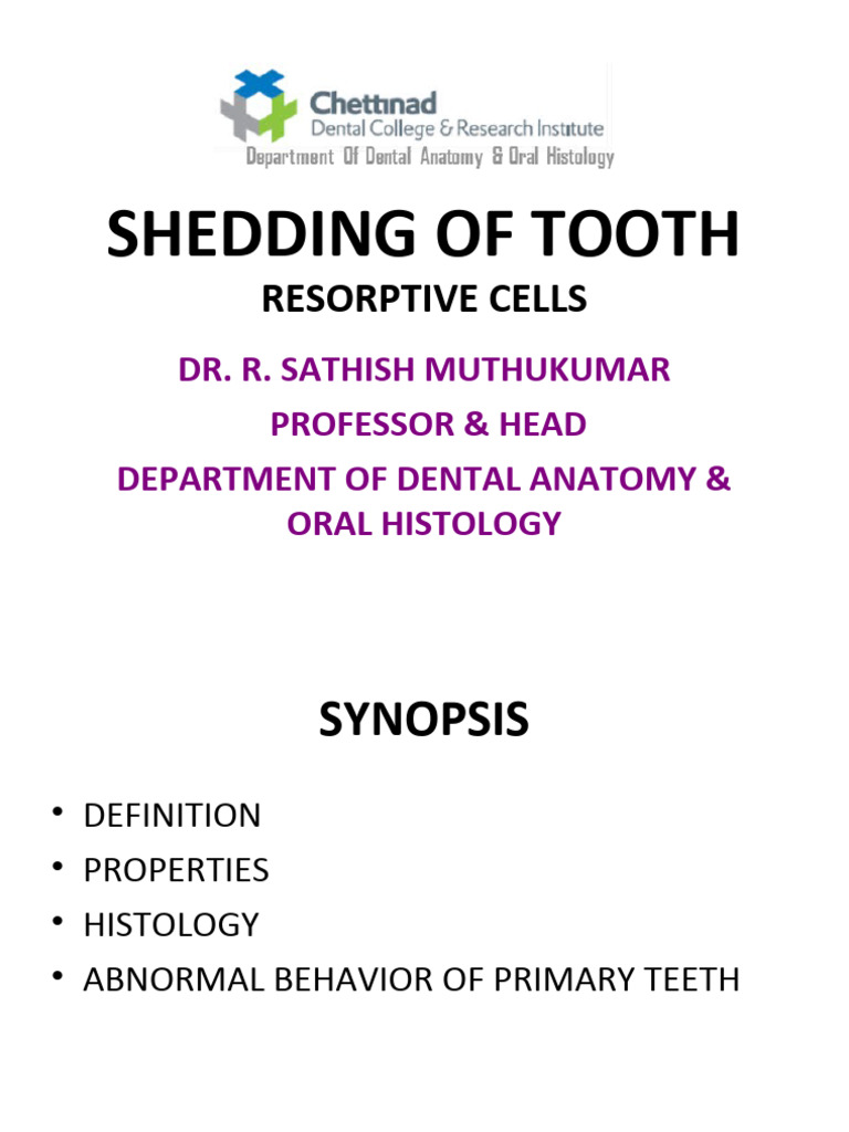 2.shedding of Tooth PDF Tooth Histology