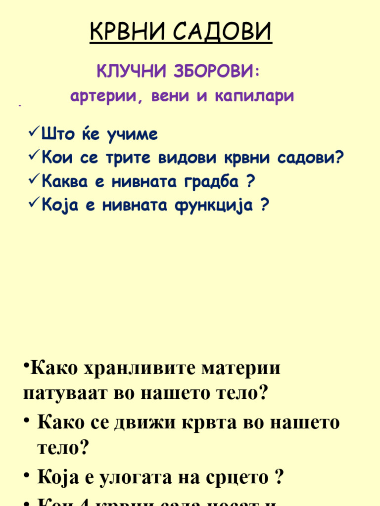 Крвни садови | PDF