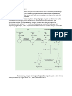 Adrenergik Agonis Dan Antagonis