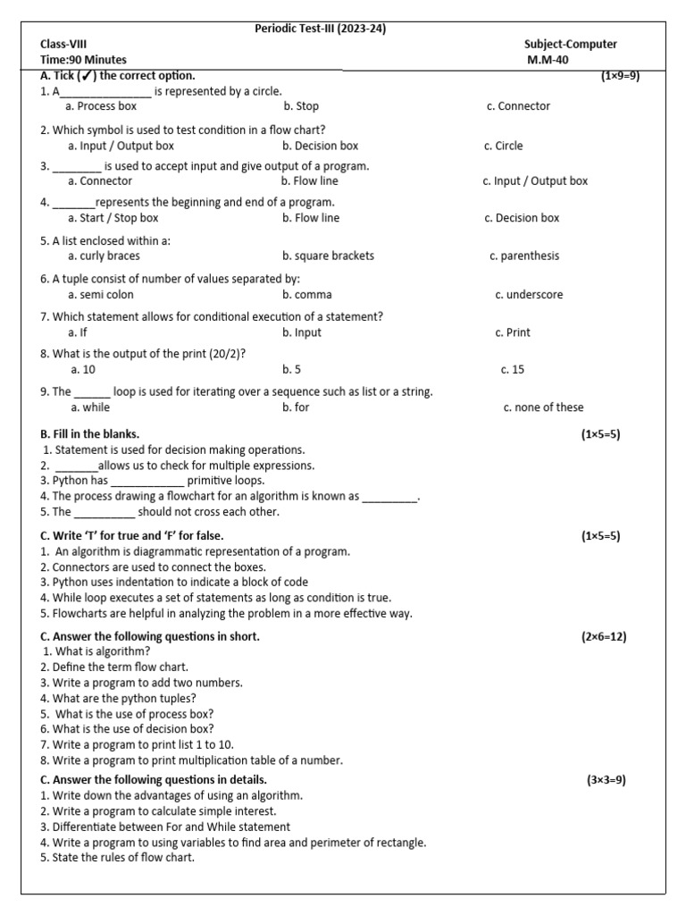 Class 8 Comp | PDF
