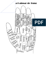 Mapa Palmar de Tung