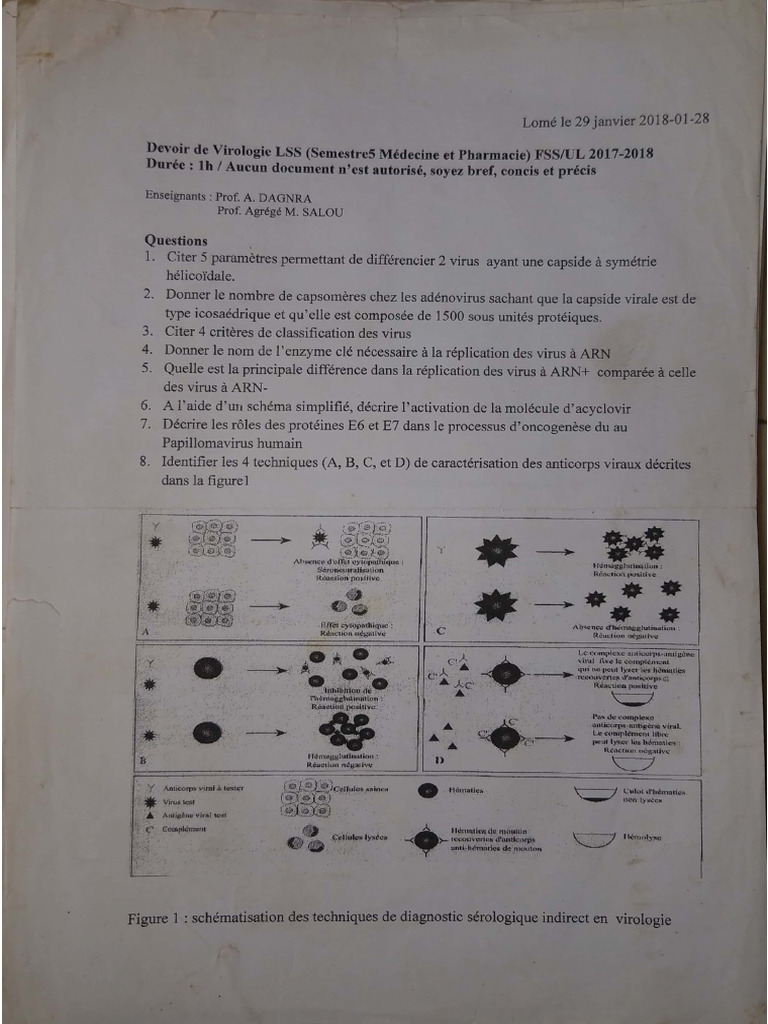 Viro!!!!!!!!!!!!!! | PDF