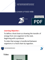 Food Chain and Food Web - Yr9