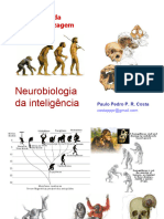 NeurobiologiaAprendizagem