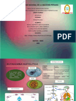 Infografia Parasitologia