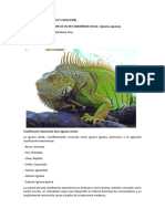 Proyecto IGUANA Verde ?