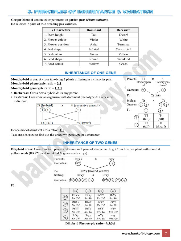 5 Principles of Inheritance N Variation Capsule Notes | PDF