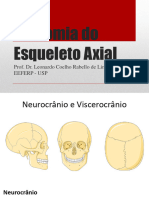 Aula 4 - Esqueleto Axial