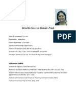 Geralda Cecilia Hidalgo Prada: Experiencia Laboral
