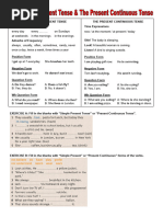 The Simple Present & Present Continuous Tenses