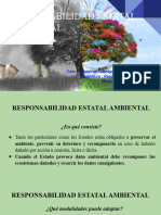 Responsabilidad Estatal Ambiental