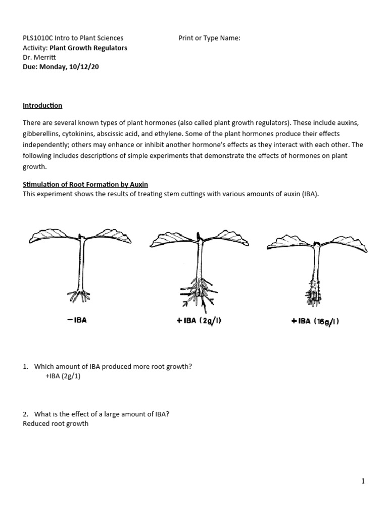 ActivityPlant Growth Regulators PDF Auxin Plant Hormone