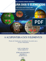 E BOOK ACUPUNTURA DOS 5 ELEMENTOS .2018 pdf
