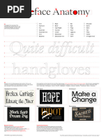 NTU Typeface Anatomy PDF