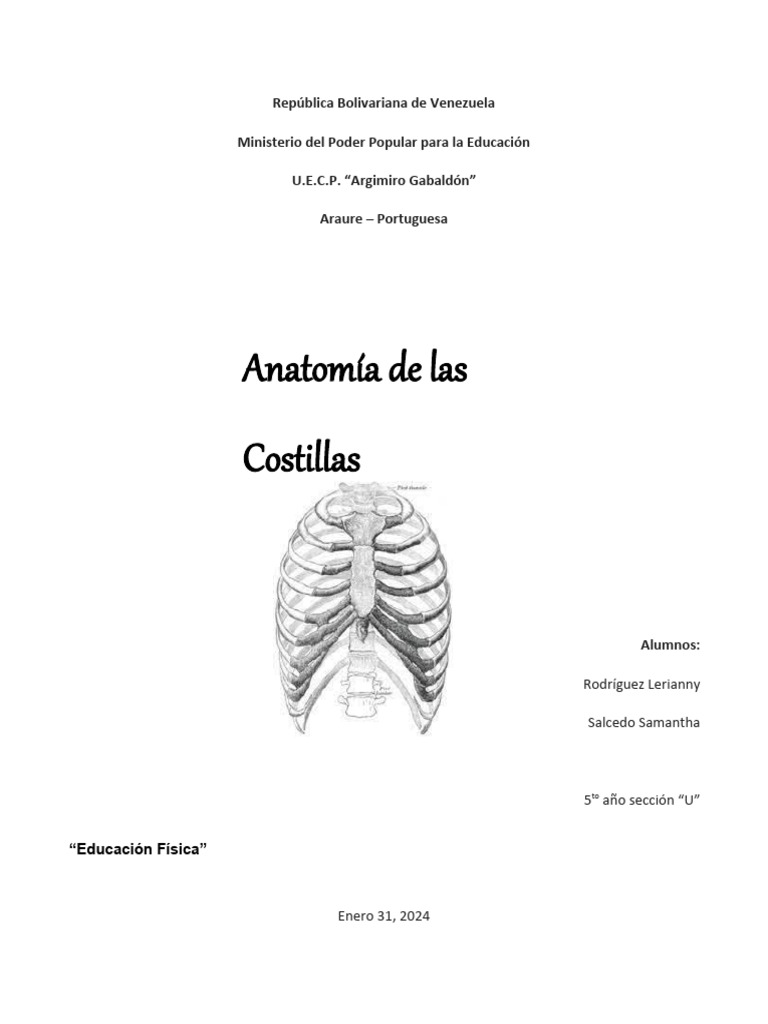 anatomia-de-las-costillas-pdf