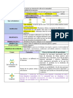 2° - Proyecto - Los Perros en Situacion de Calle