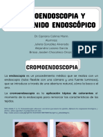 Cromo-Video Endoscopia y Ultrasonido Endoscópico.