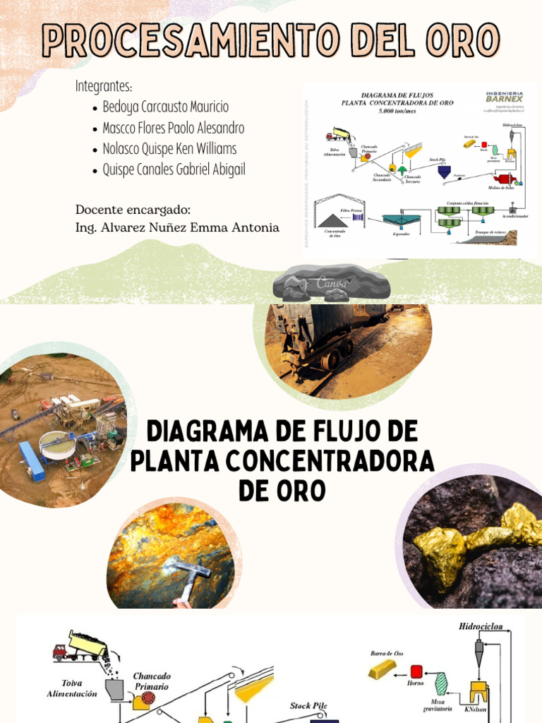 Flowsheet del oro pdf