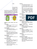 Cell Organelles