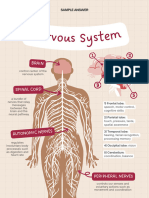 Parts of The Human Nervous System Science Poster in Pastel Pink Rose Pink Flat Graphic Style