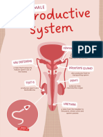 Parts of The Human Reproductive System Science Poster in Light Brown Rose Pink Flat Graphic Style