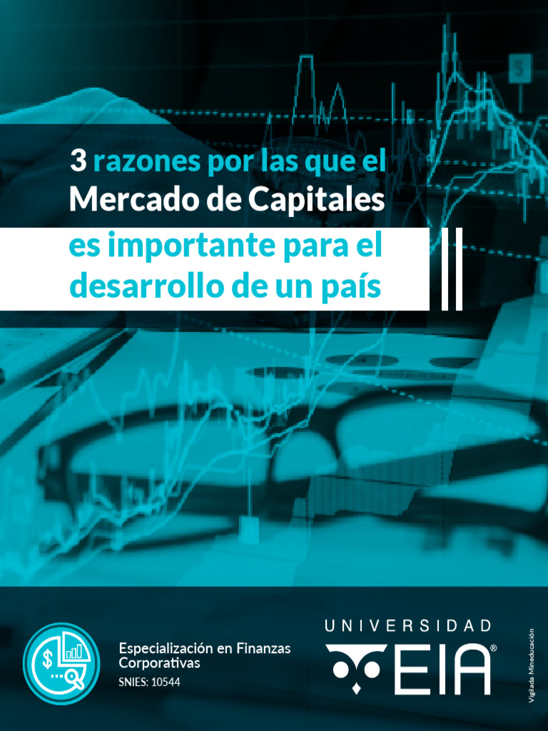Importancia del Mercado de Capitales | PDF