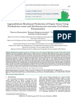 Lignocellulosic Bioethanol Pro