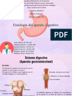 Sistema Gastrointestinal-3