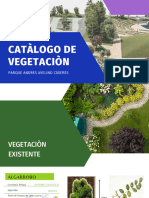 Catàlogo de Vegetaciòn