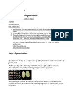 Process of Seed Germination