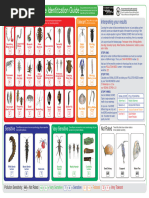 Entomology Science Olympiad Entomolgy Binder | PDF | Dragonfly | Insects