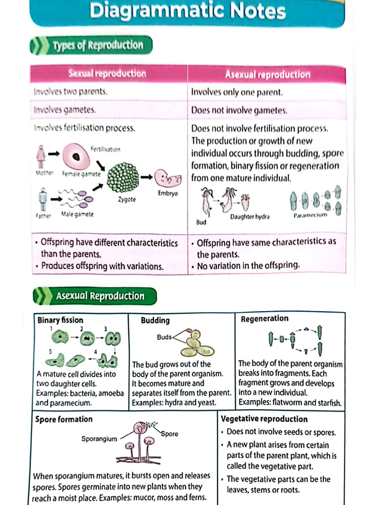 Form 1 science chapter 4 pdf