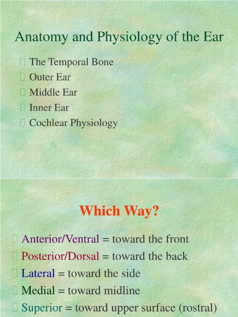 39743625 | PDF