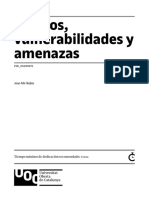 Riesgos Vulnerabilidades Amenazas