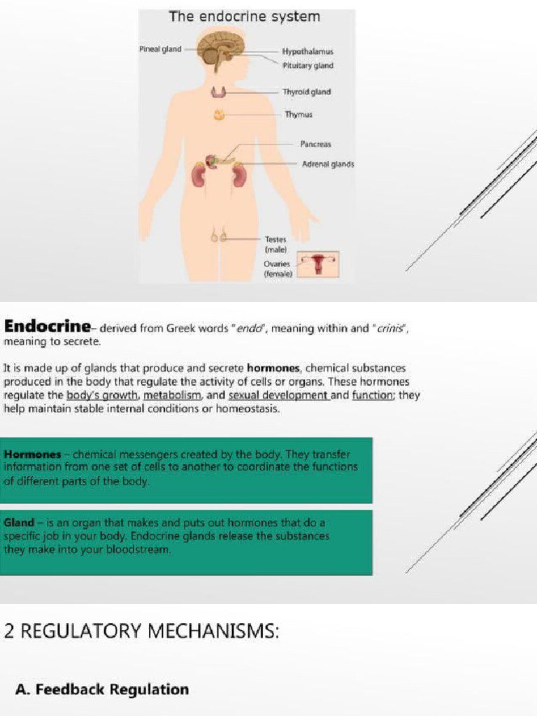 System Class Java Api