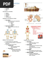 A.S.a - The Skeletal System