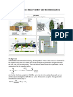 Photosynthesis: Electron Flow and The Hill Reaction: Pictures