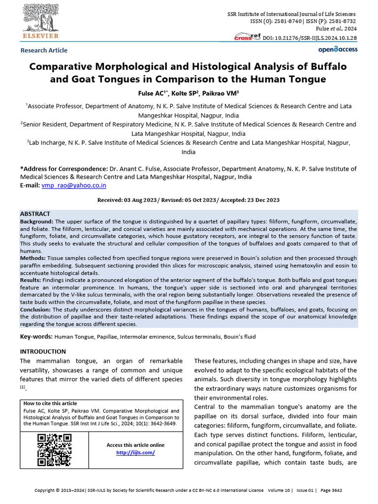 Comparative Morphological Histological Analysis Buffalo Goat Tongues ...