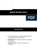 White Blood Cell Physiology and Function_030621