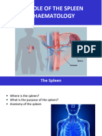 Role of Spleen in Haematology