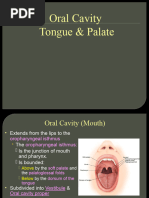 Oral Cavity