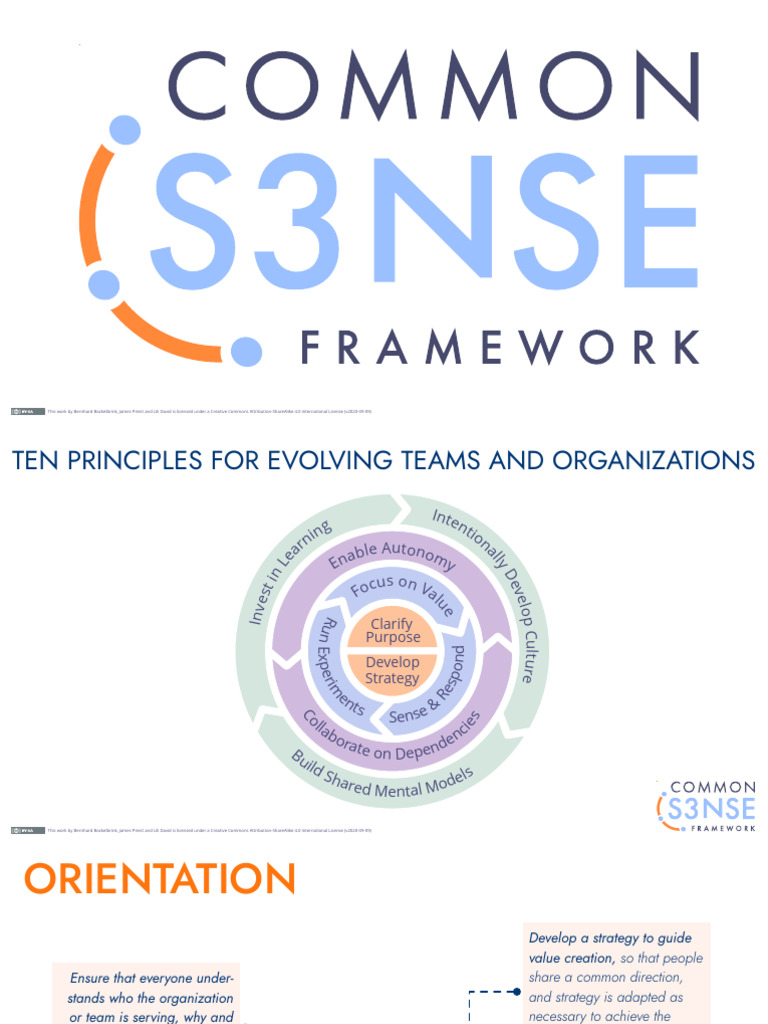 Common-Sense-Framework-Slides Kopyası | PDF