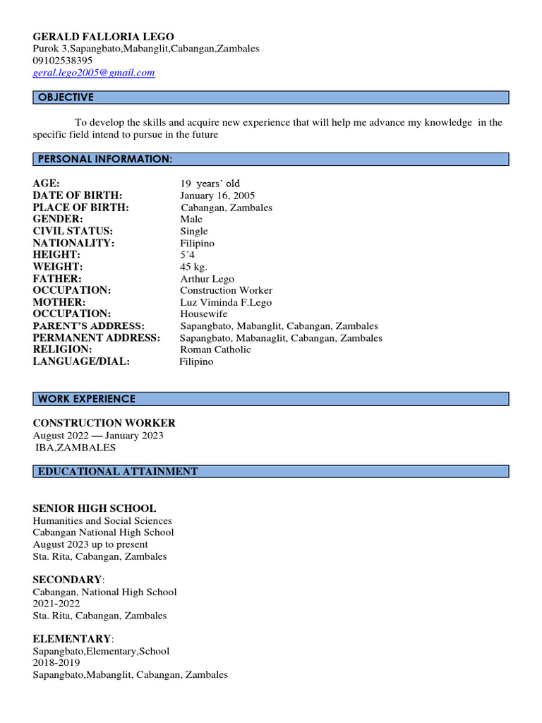 Resume 2024 Template 5 6 PDF