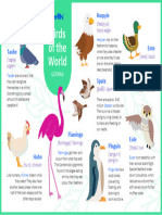 Berlitz Blog Downloadables German Birds Poster